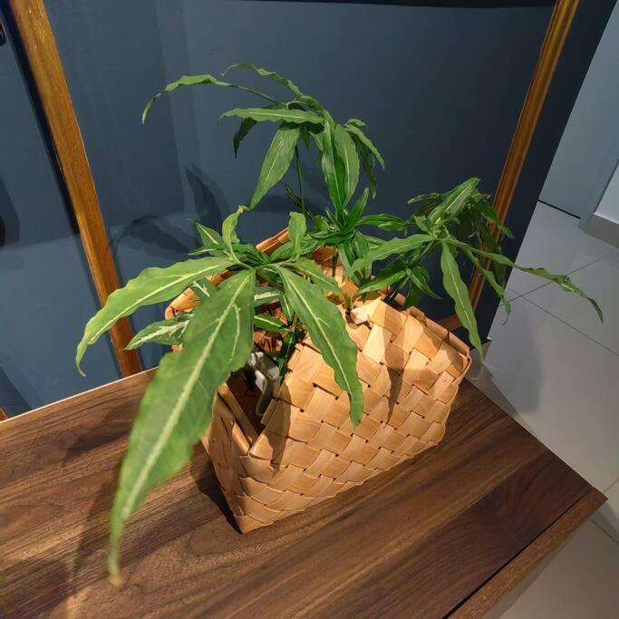 Alocasia Geniehome 3Br Free Wifi @ Utropolis 샤알람 외부 사진